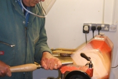 Here we have Mark Dale taking his first cuts on a natural edged bowl in Elm.