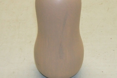 This is one of Bob Chisholm's Butternut Squash, although not a fruit, Bob carried on making it.