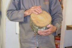 Here John is showing the end of a log with several drying shakes (cracks) in it, and explaining why they are there,