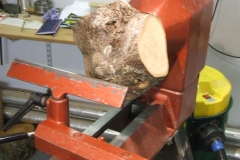 This was my blank mounted on the lathe ready to start, it was a piece of Lime from the crux of a branch.