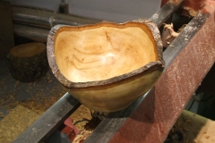 My finished bowl.
