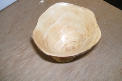 A view of one of my completed thin walled bowl's, it's the Leylandii one.