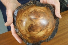 A closer view of Geoff's Elm bowl.